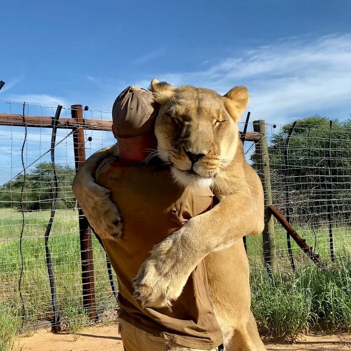 animals hugging humans