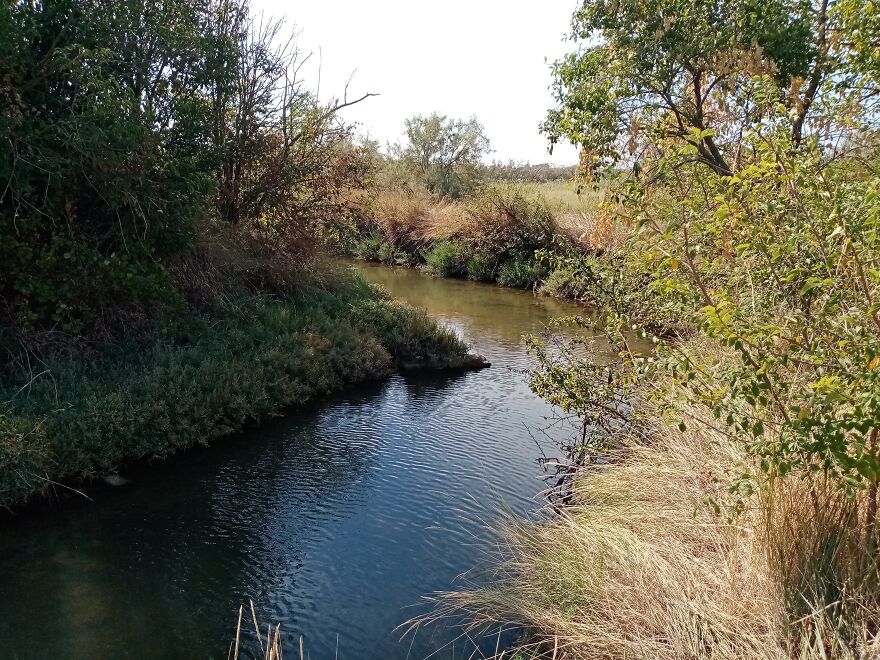 Here's Some Beautiful Photographs Of Torcello