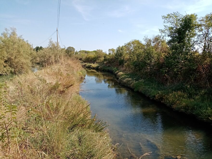 Here's Some Beautiful Photographs Of Torcello