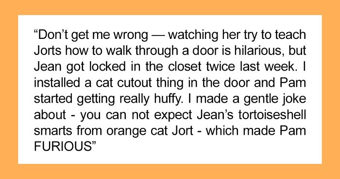 People Online Are Cracking Up At The Story Of The Guy Who Called An Orange Office Cat Dumb And Got Accused Of 