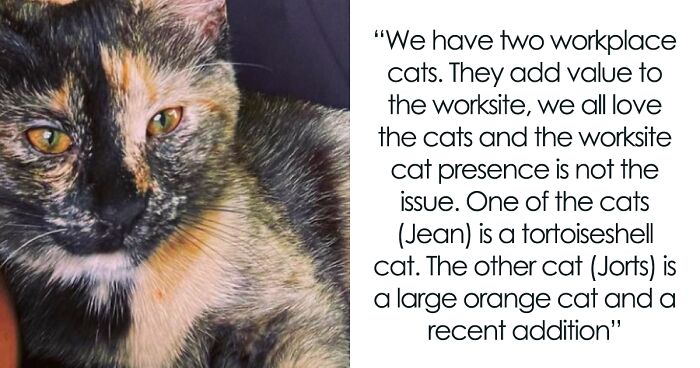 Person Wants To Know If He's The Bad Guy After Getting Accused Of “Perpetuating Ethnic Stereotypes” For Calling The Orange Office Cat Dumb