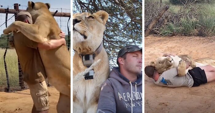 Video Of A Lioness Hugging Keeper Went Viral On TikTok, And It Proves They're BFFs