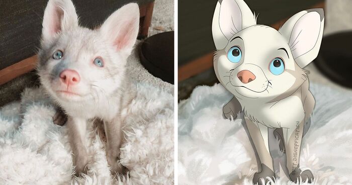 People Send Pics Of Their Pets To This Artist And She Disneyfies Them (30 New Pics)