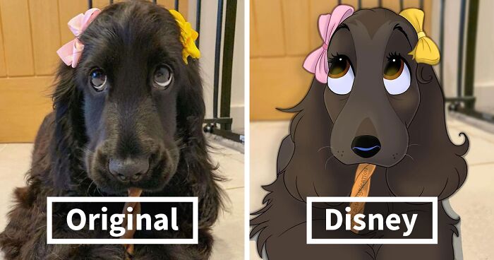 People Send Pics Of Their Pets To This Artist And She Disneyfies Them (30 New Pics)