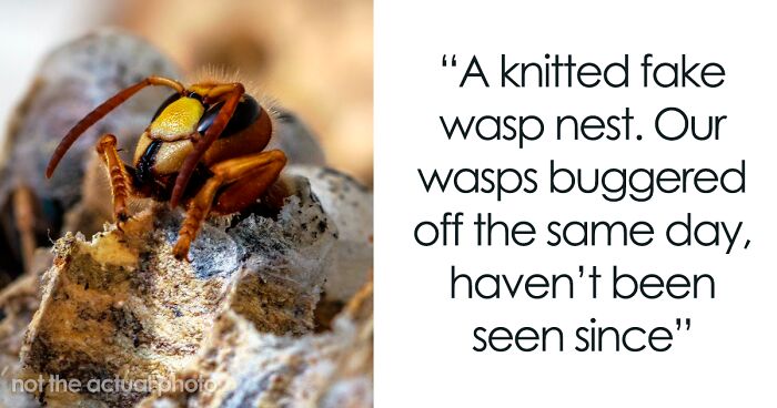 People Share 68 Life Hacks That Sound Terrible But Really Work