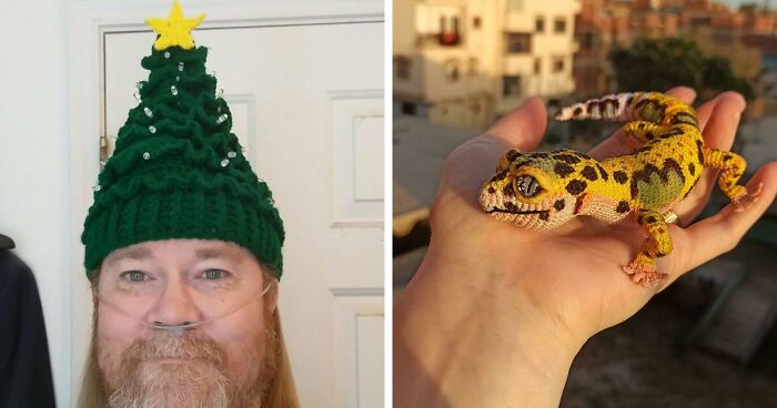 113 Times People Made Fascinating Crochet Designs That Were Too Good Not To Share (New Pics)