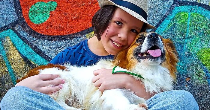 11-Year-Old Helps Stray Dogs Get Adopted By Bathing Them