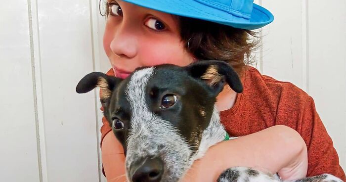 Dog-Bathing Project: This Boy Cleans Stray Dogs So They Can Find A Home