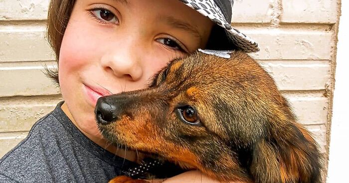 11-Year-Old Brazilian Boy Bathes Stray Dogs On Saturdays To Increase Their Chance At Being Adopted