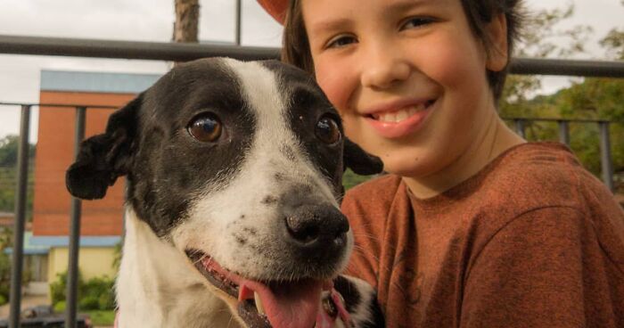 11-Year-Old Brazilian Boy Bathes Stray Dogs On Saturdays To Increase Their Chance At Being Adopted