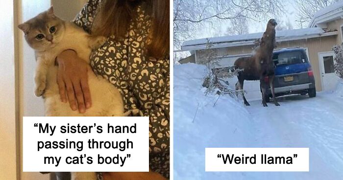 People In This Group Are Sharing 50 Seriously Confusing Pics That Need To Be Looked At Twice To Understand (New Pics)