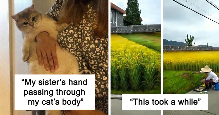 People In This Group Are Sharing 50 Seriously Confusing Pics That Need To Be Looked At Twice To Understand (New Pics)