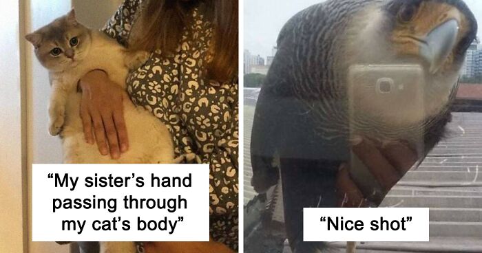 People In This Group Are Sharing 50 Seriously Confusing Pics That Need To Be Looked At Twice To Understand (New Pics)