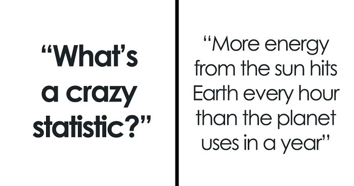 What's A Crazy Statistic?: 54 People Give Their Answers