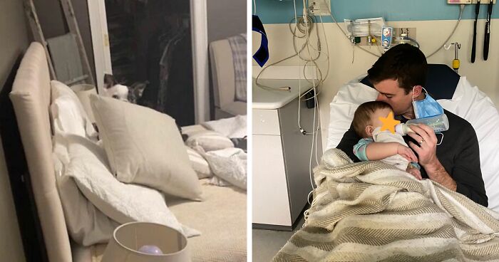 Twitter User Reveals How Her Hero Dog Henry Saved Her 9-Month-Old Baby’s Life, Others Join With Similar Stories