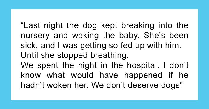 Dog Repeatedly Breaks Into The Nursery In Order To Warn Parents That There’s Something Wrong With The Baby, Saves Her Life (Plus 39 More Pet-Hero Stories)