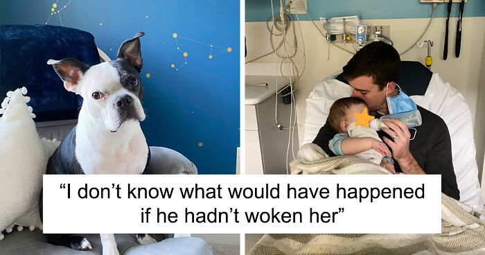 Mom Shares How A Dog Saved Her Daughter's Life, Others Chime In With Stories That Show Why We Don't Deserve Pets