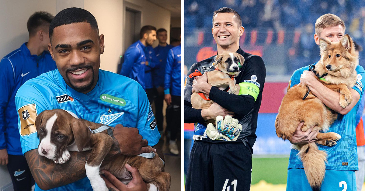 Top 5 Footballers in the World and Their Unique Dogs - Sirius Healing