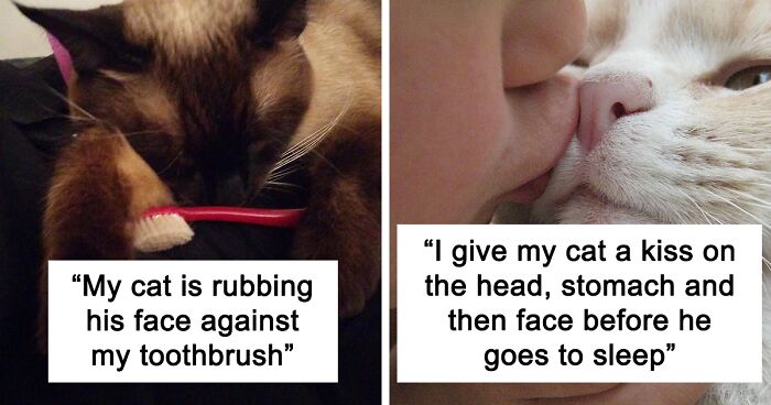 Woman Refuses To Stop Kissing Her Cat, Boyfriend And Friends Call Her “Insensitive And Gross”