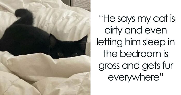 Boyfriend Lists All The Disgusting Things His GF Does With Her Cat, Gets An Instant 'Okay, Bye'