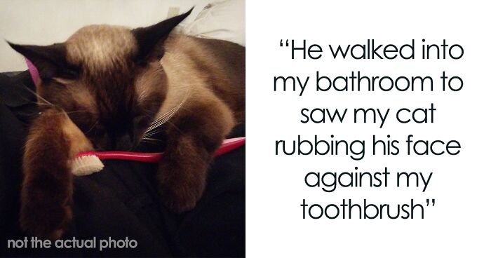 Guy Urges Girlfriend To Punish Her Cat For Rubbing His Face Against Her Toothbrush, Gets 