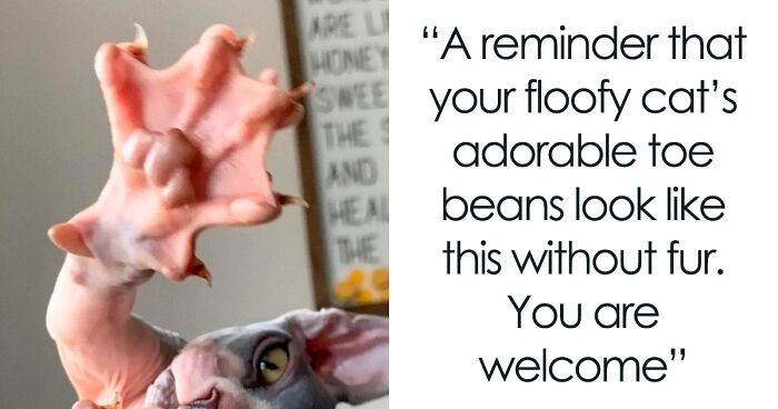 40 Times People Found Something Unsettling And Shared It On The 