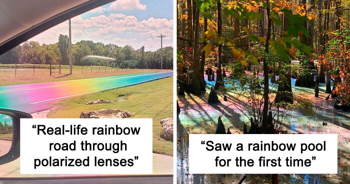 People Online Show These 197 Amazing Rainbow Pics That They Took