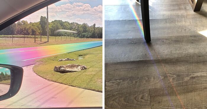 Folks Online Reveal Their Best 197 Rainbow Pics