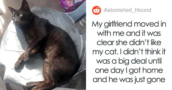 Man Finds Out Girlfriend Kicked Out His Cat From His House, Kicks Her Out Instead