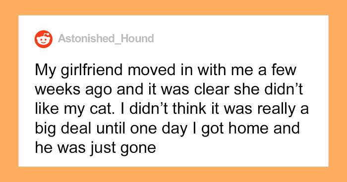 Woman Gets What She Deserves After Kicking Out BF's Cat From His House When He Wasn't Around