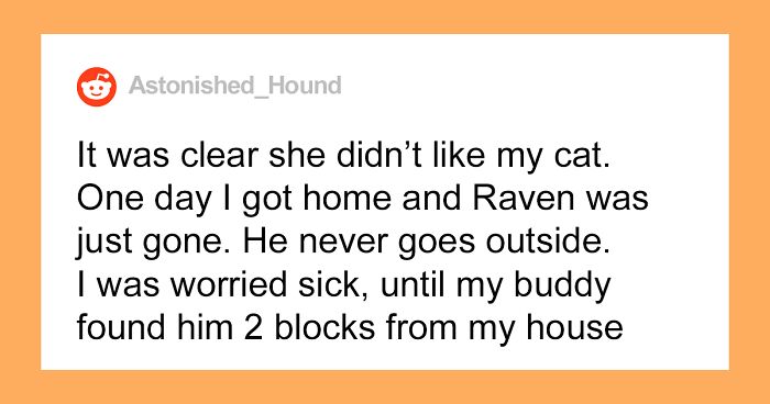 Girlfriend Kicks Out Guy's 3-Year-Old Cat, So He Kicks Her Out In Return