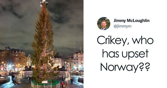 The State Of Norway’s Annual Christmas Gift To The UK Prompted Some Hilarious Responses On Twitter And Here Are 24 Of The Best Ones