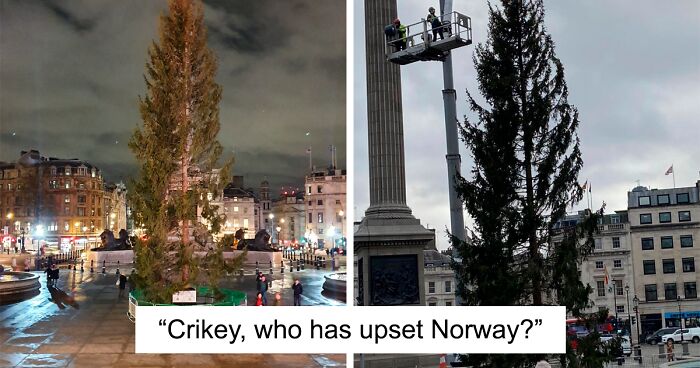 Londoners Are Not Impressed By The Trafalgar Christmas Tree This Year At All And Gift Themselves A Fest On Twitter (24 Reactions)