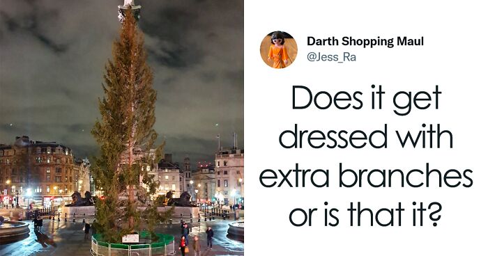 Brits Are Confused About Whether The Norwegians Sent Them The Whole Tree And Rip Into It On Twitter In These 24 Funny Reactions