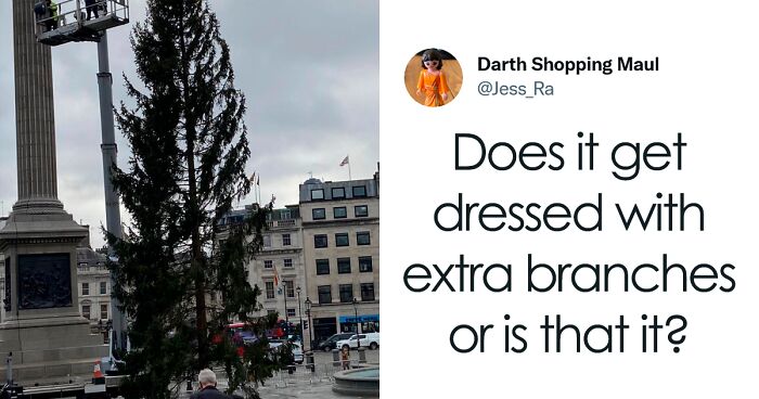 24 Reactions To The Sad-Looking Trafalgar Square Christmas Tree That Is An Annual Gift From Norway To The UK