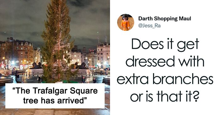 Trafalgar Square Has Been Blessed With Yet Another Christmas Tree From Norway But Brits Found It Hilarious (24 Reactions)