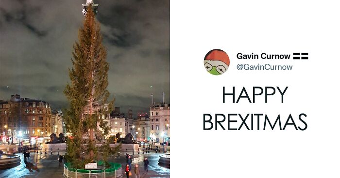 Brits Can’t Contain Their Laughter After Norway Sent Them Their Special Christmas Tree (24 Reactions)