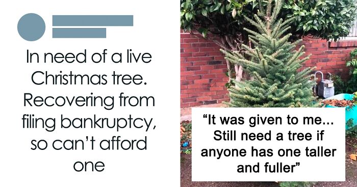 70 People Who Were Naughty Rather Than Nice During The Holidays And Deserved To Get Scolded Online