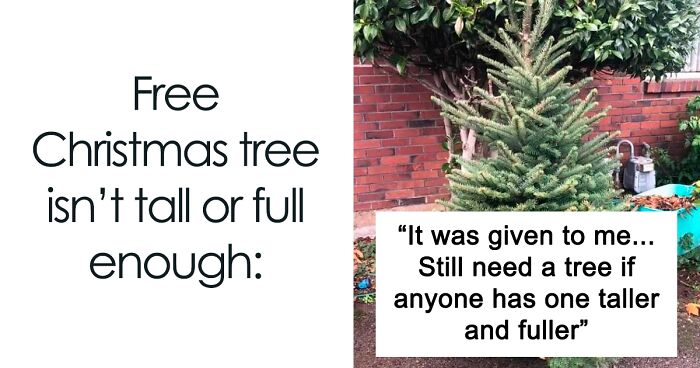 70 People Who Decided They Would Be Rude As Hell For The Holidays