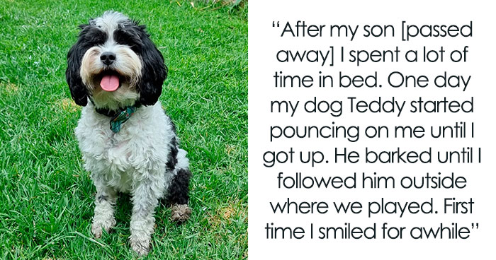 People Are Sharing The Most Intelligent Things Their Pets Have Done, And Here Are 86 Of The Best Responses