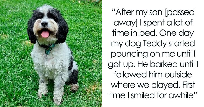 86 People On Twitter Share Stories About How Their Pets Acted In Such An Intelligent Way, It's Almost Creepy