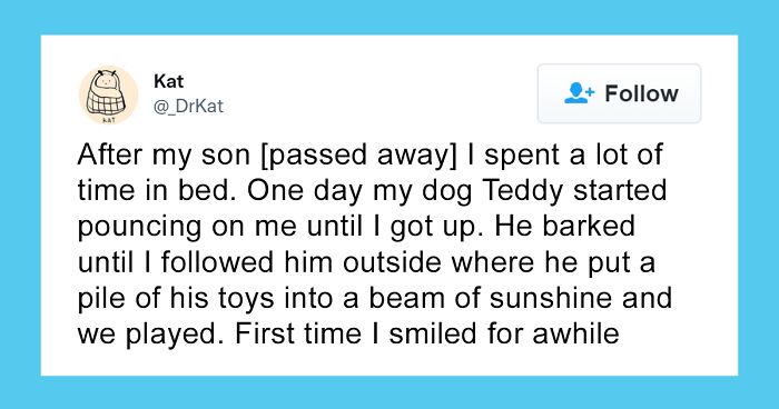 86 Times People Learned Their Pets Were Smarter Than They Looked