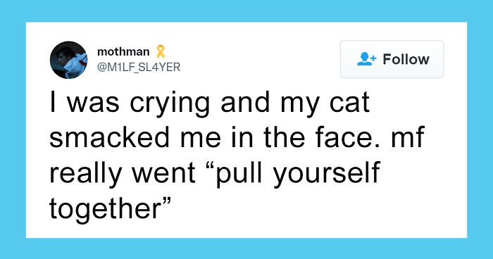 86 Times Pets Creeped Out Their Owners With Their Intelligence