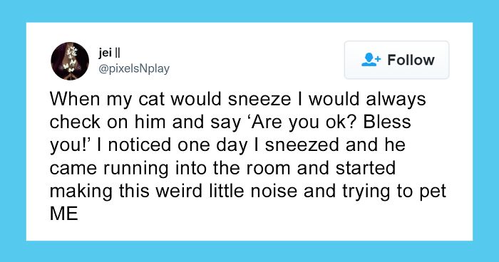 People Share 86 Times Their Pets Demonstrated How Smart They Are