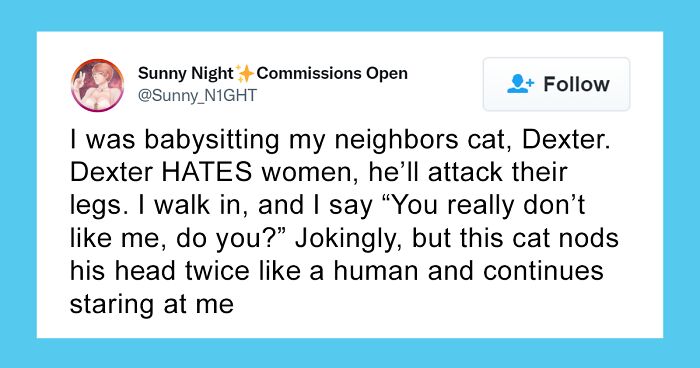 Twitter Users Are Sharing 86 Of The 'Most Creepily Intelligent' Things Their Pets Have Done