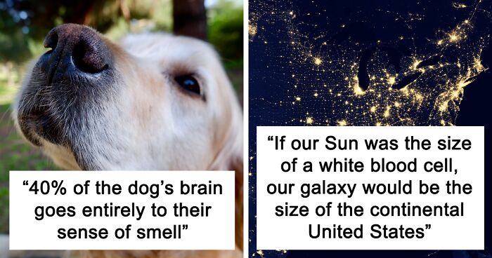 People Share 100 Interesting And Cool Facts To Teach You Something New