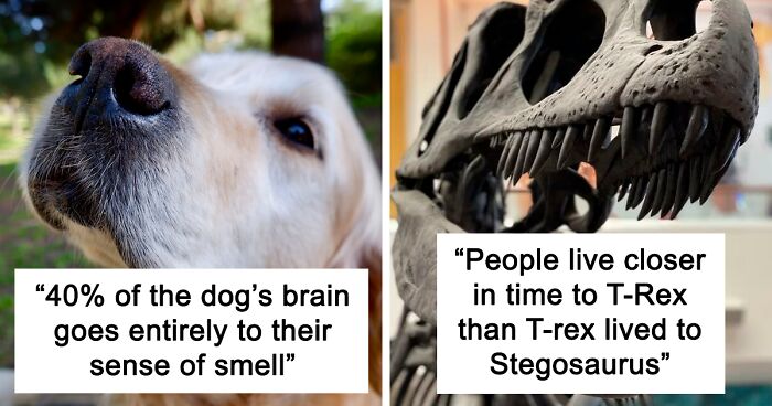 100 People Share The Most Interesting And Mind-Bending Facts They Know