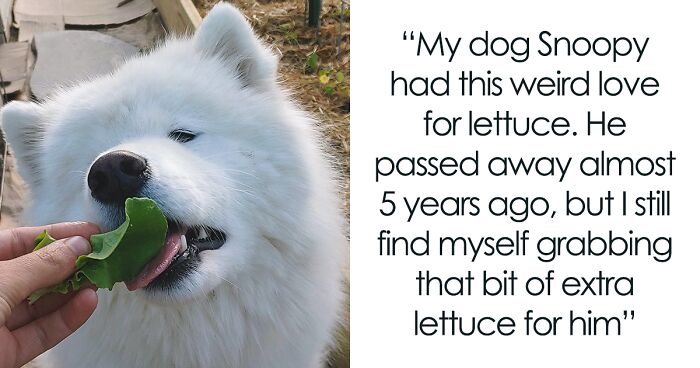 87 Of The Funniest Pet Quirks As Shared By Their Owners