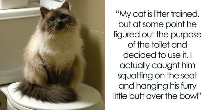 87 People Share Quirks Of Their Pets That Others Find Hard To Believe Are Real