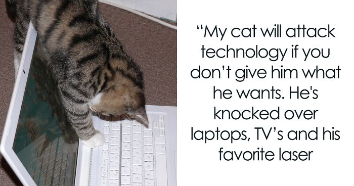 Pet Owners Share What Quirks Their Furry Friends Have That Are Just Impressive